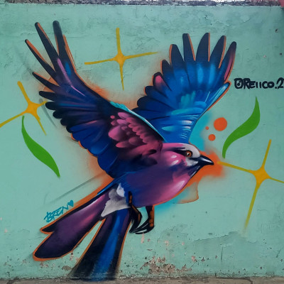 Mural de graffiti en Puebla - aves, animales, murales