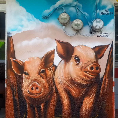 Mural de graffiti en Puebla - rotulos, murales, animales 