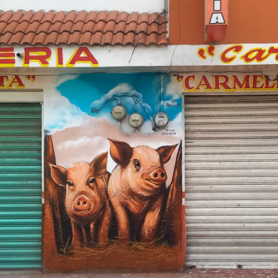 Mural de graffiti en Puebla - rotulos, negocios 