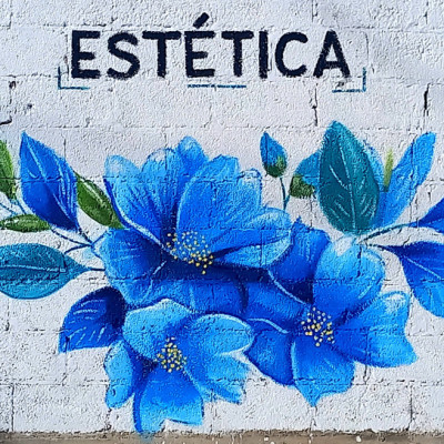 Mural de graffiti en Puebla - rotulos, negocios 