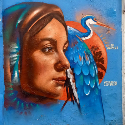Mural de graffiti en Puebla - murales, retratos
