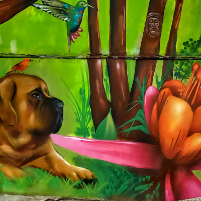 Mural de graffiti en Puebla - murales, animales