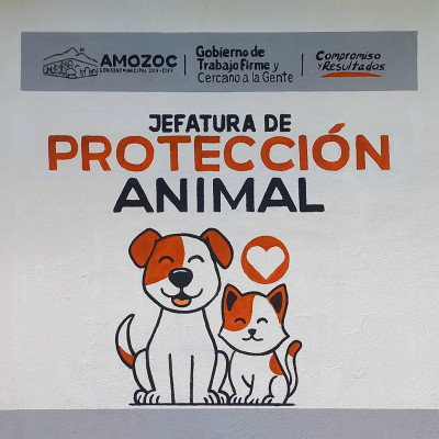 Mural de graffiti en Puebla - rotulos
